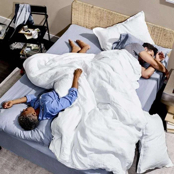 Snowe Down Alternative Duvet Insert