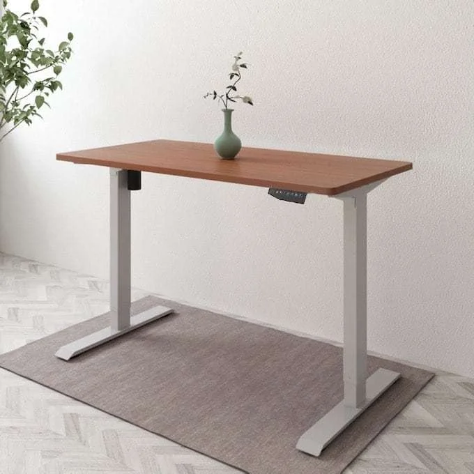 Best Electric Standing Desk, Flexispot EN1 Adjustable Desk