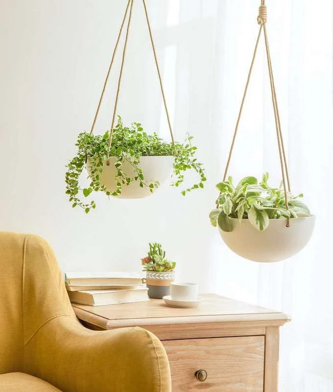 Best Hanging Planters, Wall Hanging Planters, Hanging Planters Indoor, Ceramic Hanging Planters