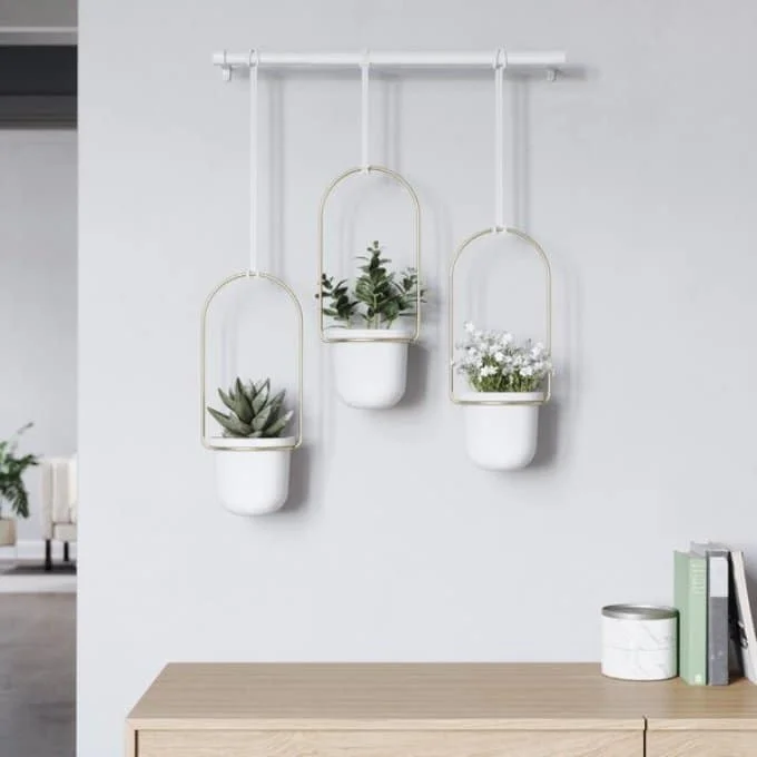 Best Hanging Planters Wayfair Umbra White