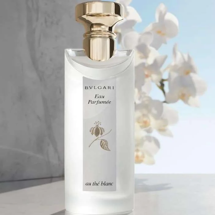 Bvlgari Perfumes, BVLGARI Eau Parfumee au the Blanc 