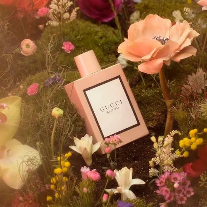 Gucci Perfume for Women, Gucci Bloom Perfume