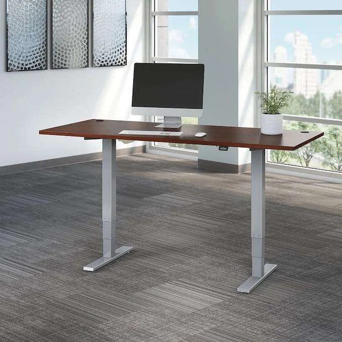 Best Standing Desks under 500 Dollars, Large Electric Adjustable Standing Desks