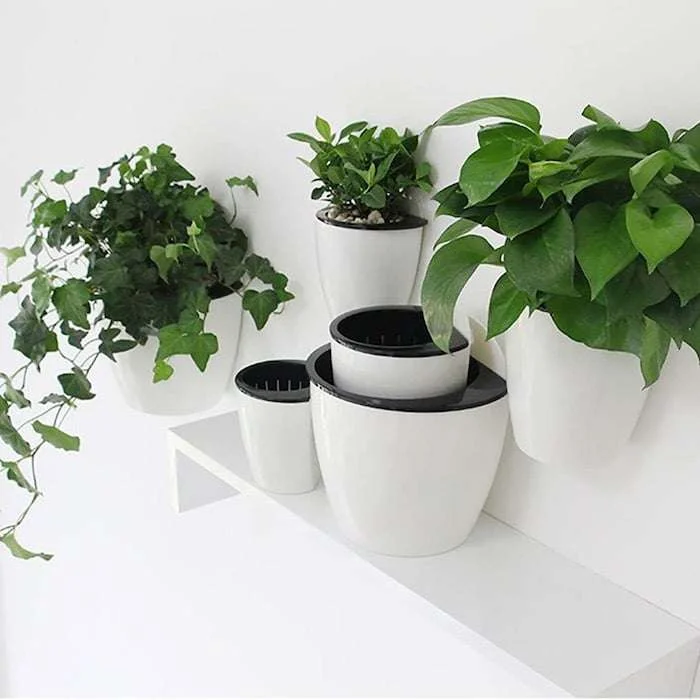 Self Watering Wall Planters, Wall Planters Amazon