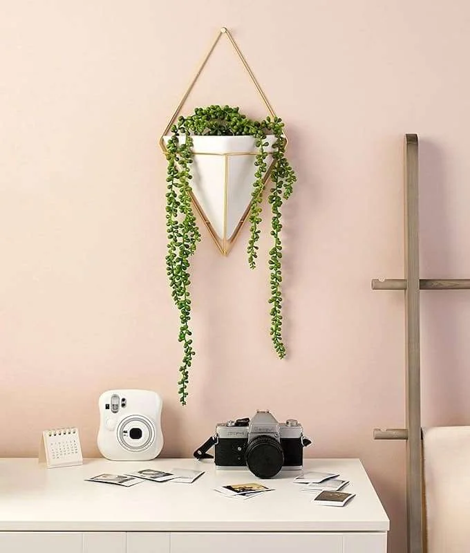 Best Wall Planters, Wall Hanging Planters, Wall Planters Indoor, Wall Mounted Planters, Ceramic Wall Planters