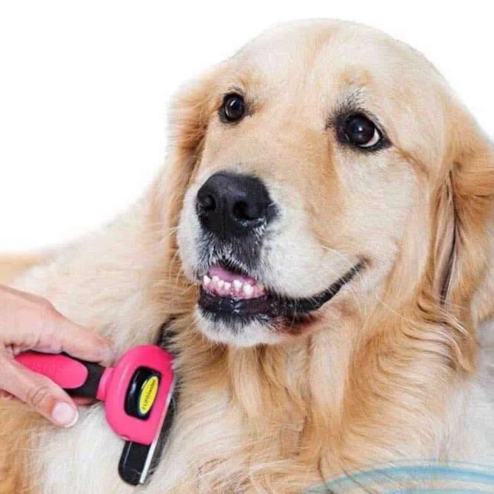 Dog grooming Supplies, Dog Grooming Tools, Dog Grooming Brush