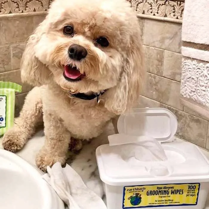 Best Dog Grooming Products, Dog Grooming at Home, All Natural Wipes