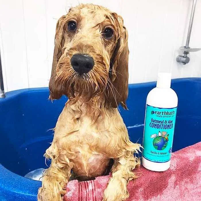 Earthbath Oatmeal And Aloe Conditioner
