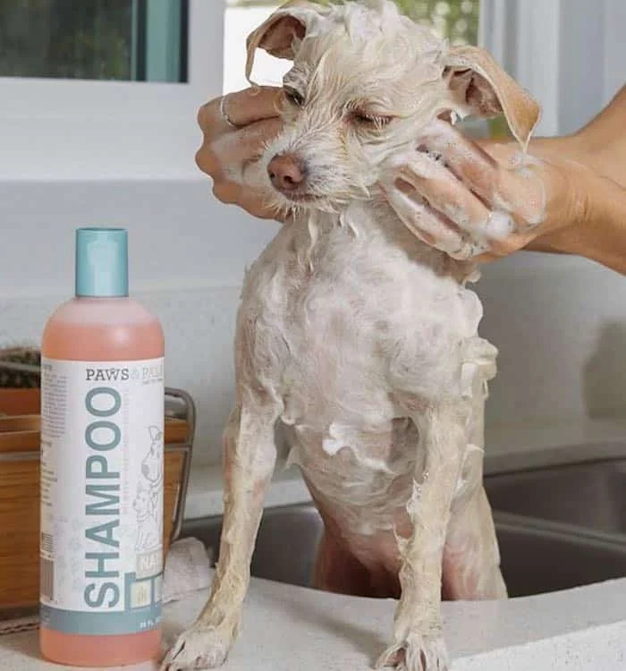 Dog grooming Supplies, Natural Dog Shampoo Conditioner
