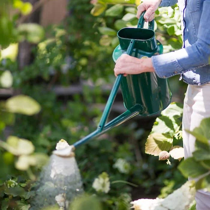Best Gardening Gifts, Watering Can , Long Reach Handmade Watering Can