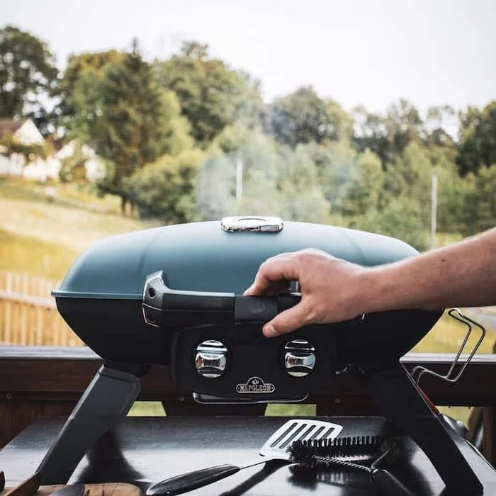 Gas Grills Under 500 Napoleon Portable Grill