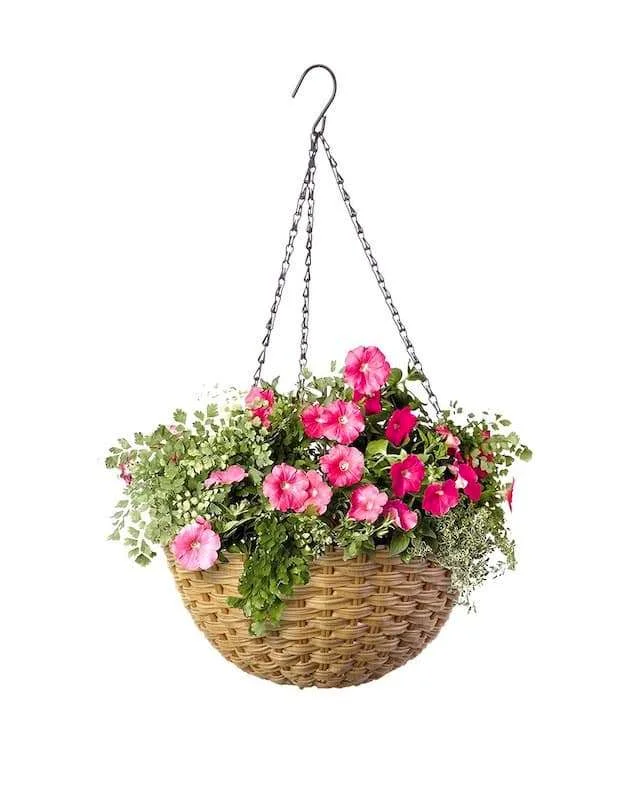 Best Hanging Planters, Hanging Planters with Hook, Hanging Planters Indoor, Small Hanging Planters, Bamboo Finish Woven Resin Planter