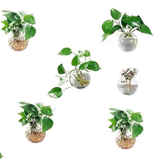 Wall Planters, Wall Hanging Planters, Wall Planters Indoor,  Wall Planters Succulents, Six Round Glass Wall Planters 