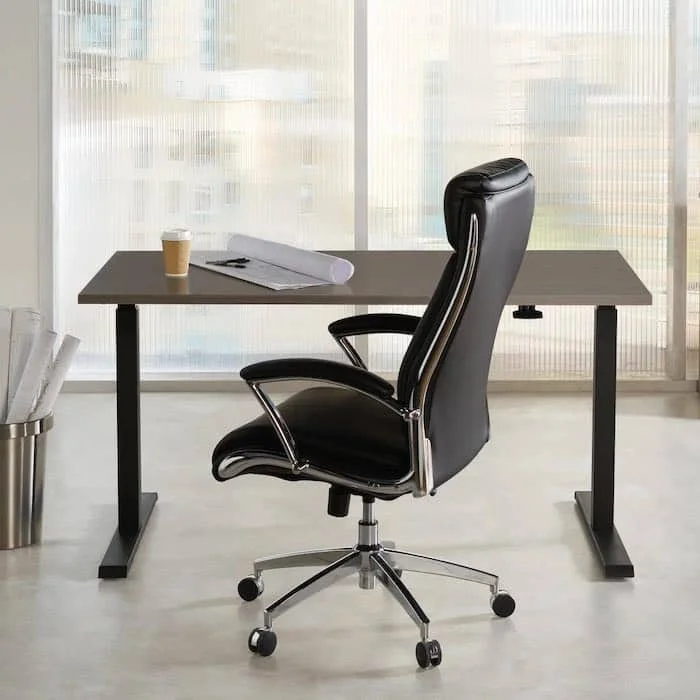 Best Standing Desks under 500, Adjustable Standing desks Office Depot, Pneumatic Standing Desk