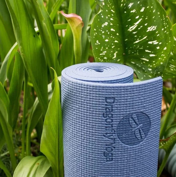 Best Yoga Brands, Dragonfly Yoga Brand Gives Back