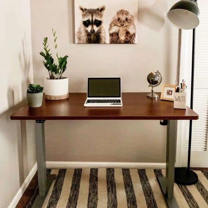 Best Standing Desk Under $300 Flexispot Electric Height Adjustable Desk
