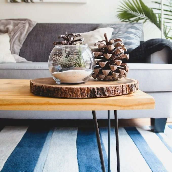 pine cones candles coffee table styling