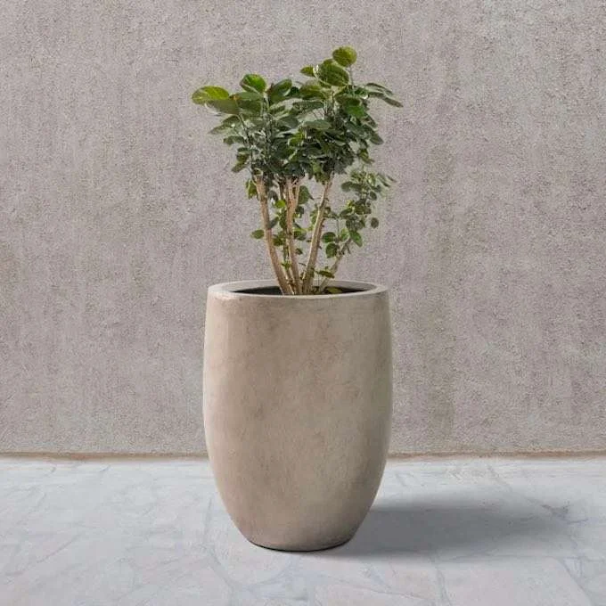 Weathered Concrete Tall Planter for Front Porch
