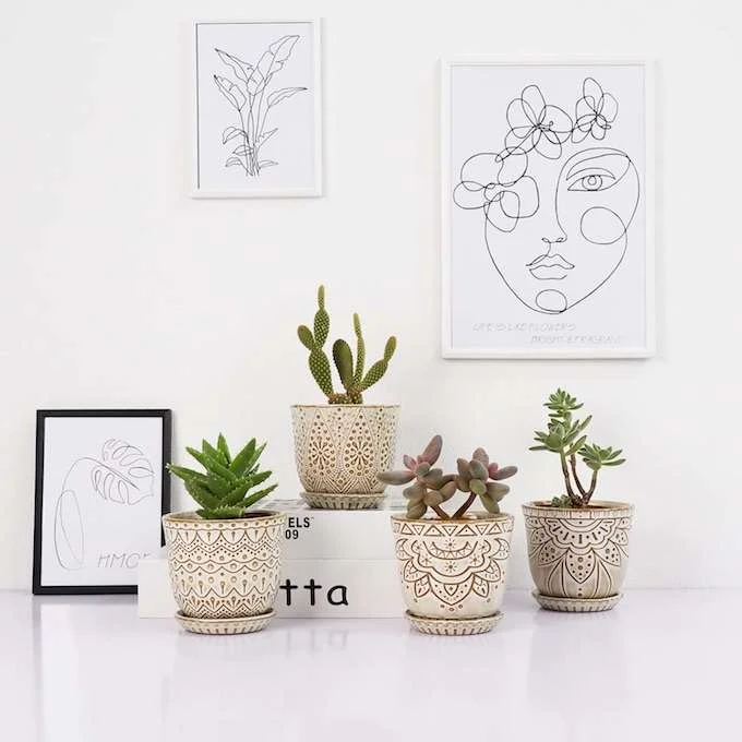Boho Decor Succulent Planter Set