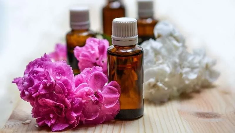 Best Aromatherapy Essential Oils