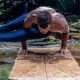 Best Cork Yoga Mats Ftr