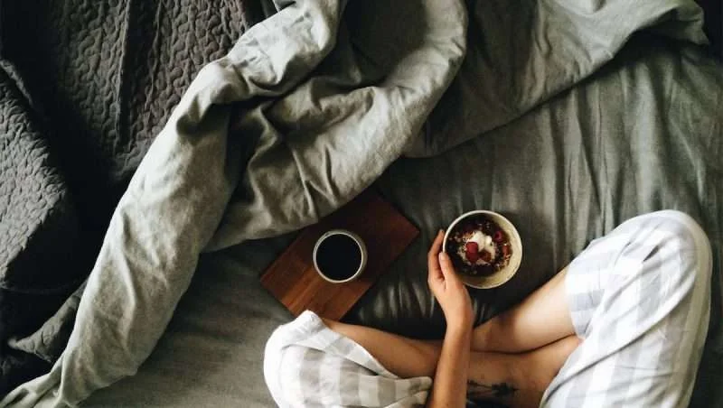 Best Down Alternative Comforters, Sets, Duvets