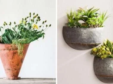 Hanging Wall Planter Ftr